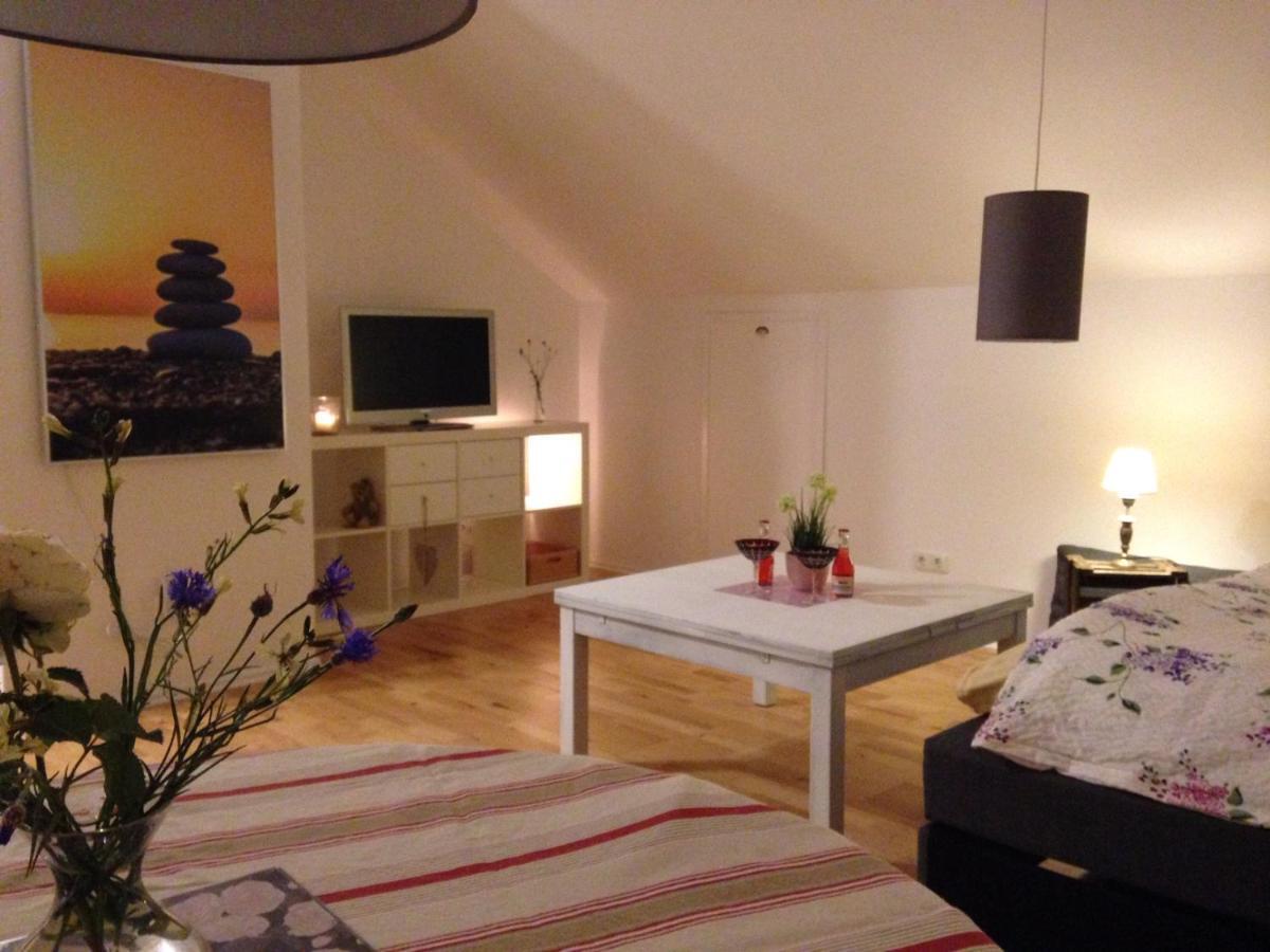 Gemuetliche, Grosszuegige Ferienwohnung Зальцгаузен Екстер'єр фото